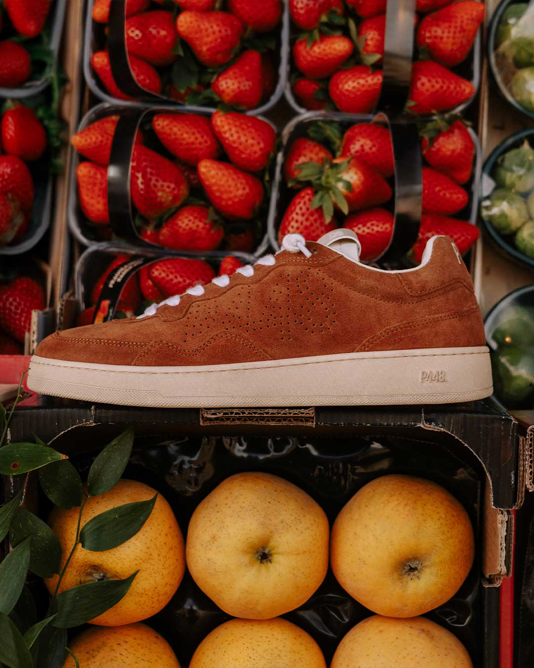 Scuderia AlphaTauri – P448®